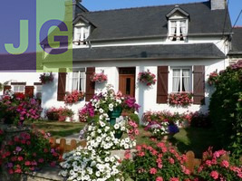 Le grand Hortensia centre Finistère