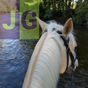 ACCOMPAGNATEUR EQUESTRE